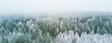 SoCal’s Holiday Symphonica